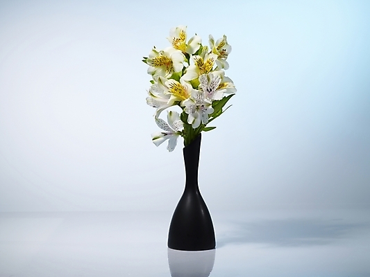 포토 JPG 식물 꽃 여러송이 실내 그림자 근접촬영 사람없음 가로 노란색 꽃병 백합 알스트로에메리아 국내포토 뷰포인트 컬러 다수 내부 파일형식