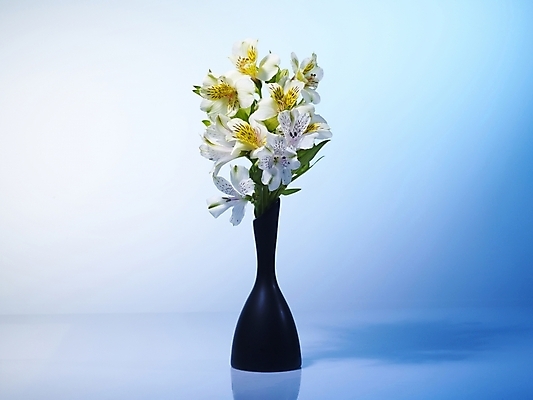 포토 JPG 식물 꽃 여러송이 실내 그림자 근접촬영 사람없음 가로 노란색 꽃병 백합 알스트로에메리아 국내포토 뷰포인트 컬러 다수 내부 파일형식