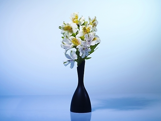 포토 JPG 식물 꽃 여러송이 실내 그림자 근접촬영 사람없음 가로 노란색 꽃병 백합 알스트로에메리아 국내포토 뷰포인트 컬러 다수 내부 파일형식