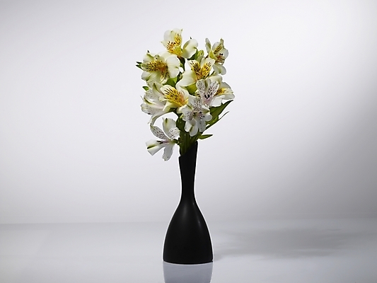 포토 JPG 식물 꽃 여러송이 실내 그림자 근접촬영 사람없음 가로 노란색 꽃병 백합 알스트로에메리아 국내포토 뷰포인트 컬러 다수 내부 파일형식