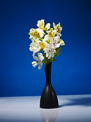 포토 JPG 식물 꽃 컬러 여러송이 실내 그림자 근접촬영 사람없음 세로 파란색 노란색 꽃병 백합 파란배경 알스트로에메리아 국내포토 뷰포인트 다수 백그라운드 내부 파일형식