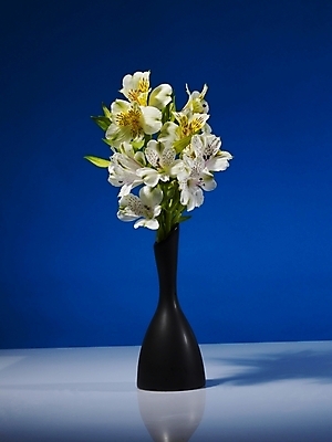 포토 JPG 식물 꽃 컬러 여러송이 실내 그림자 근접촬영 사람없음 세로 파란색 노란색 꽃병 백합 파란배경 알스트로에메리아 국내포토 뷰포인트 다수 백그라운드 내부 파일형식