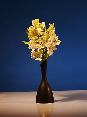 포토 JPG 식물 꽃 컬러 여러송이 실내 그림자 근접촬영 사람없음 세로 파란색 노란색 꽃병 백합 파란배경 알스트로에메리아 국내포토 뷰포인트 다수 백그라운드 내부 파일형식