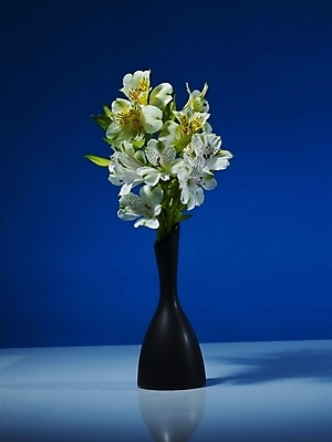 포토 JPG 식물 꽃 컬러 여러송이 실내 그림자 근접촬영 사람없음 세로 파란색 노란색 꽃병 백합 파란배경 알스트로에메리아 국내포토 뷰포인트 다수 백그라운드 내부 파일형식