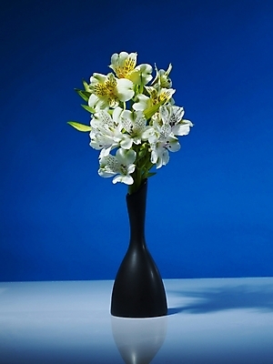 포토 JPG 식물 꽃 컬러 여러송이 실내 그림자 근접촬영 사람없음 세로 파란색 노란색 꽃병 백합 파란배경 알스트로에메리아 국내포토 뷰포인트 다수 백그라운드 내부 파일형식