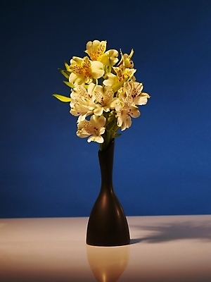 포토 JPG 식물 꽃 컬러 여러송이 실내 그림자 근접촬영 사람없음 세로 파란색 노란색 꽃병 백합 파란배경 알스트로에메리아 국내포토 뷰포인트 다수 백그라운드 내부 파일형식