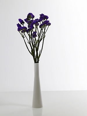 포토 JPG 식물 꽃 여러송이 실내 그림자 근접촬영 사람없음 세로 꽃병 보라색 스타치스 스타티스 국내포토 뷰포인트 컬러 다수 내부 파일형식