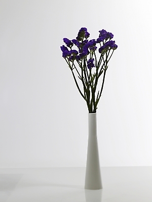 포토 JPG 식물 꽃 여러송이 실내 그림자 근접촬영 사람없음 세로 꽃병 보라색 스타치스 스타티스 국내포토 뷰포인트 컬러 다수 내부 파일형식