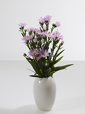 포토 JPG 스튜디오촬영 식물 꽃 분홍색 여러송이 국화 실내 그림자 근접촬영 사람없음 세로 꽃병 보라색 미니국화 국내포토 뷰포인트 컬러 다수 내부 파일형식