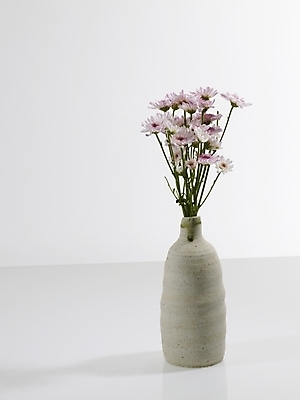 포토 JPG 식물 꽃 분홍색 여러송이 국화 실내 근접촬영 사람없음 장식 세로 꽃병 미니국화 국내포토 뷰포인트 컬러 다수 내부 파일형식