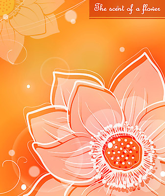 EPS 식물 꽃잎 꽃 컬러 백그라운드 일러스트 자연 사람없음 빨간색 주황색 국내일러스트 생태계 파일형식 벡터