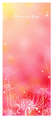 EPS 식물 꽃잎 꽃 분홍색 백그라운드 일러스트 자연 사람없음 빨간색 국내일러스트 컬러 생태계 파일형식 벡터