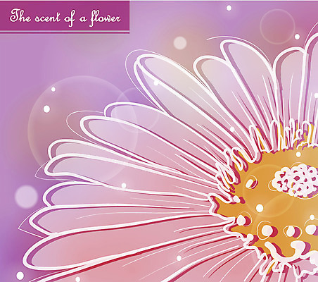 EPS 식물 꽃잎 꽃 컬러 백그라운드 일러스트 자연 사람없음 보라색 국내일러스트 생태계 파일형식 벡터