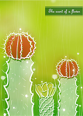 EPS 식물 꽃 컬러 백그라운드 일러스트 자연 선인장 사람없음 초록색 국내일러스트 생태계 파일형식 벡터