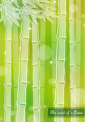 EPS 나무 식물 꽃 컬러 백그라운드 일러스트 자연 사람없음 초록색 대나무 국내일러스트 생태계 파일형식 벡터