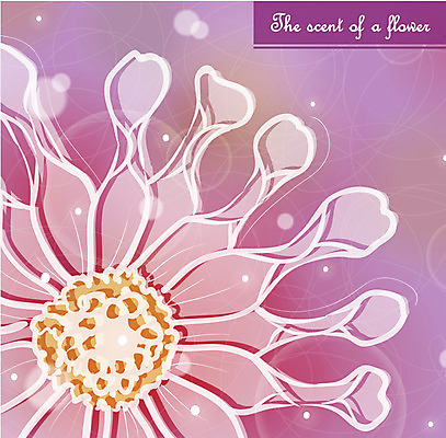 EPS 식물 꽃잎 꽃 컬러 백그라운드 일러스트 자연 사람없음 보라색 국내일러스트 생태계 파일형식 벡터