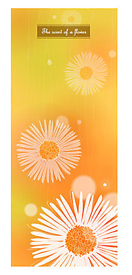 EPS 식물 꽃잎 꽃 컬러 백그라운드 일러스트 자연 사람없음 주황색 민들레 국내일러스트 생태계 파일형식 벡터