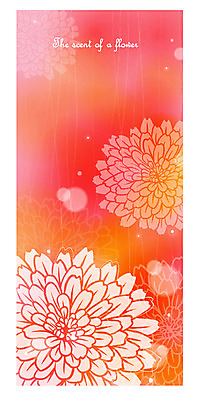 EPS 식물 계절 꽃잎 꽃 분홍색 백그라운드 일러스트 자연 국화 사람없음 빨간색 가을 가을배경 국내일러스트 컬러 생태계 파일형식 벡터 가을_계절