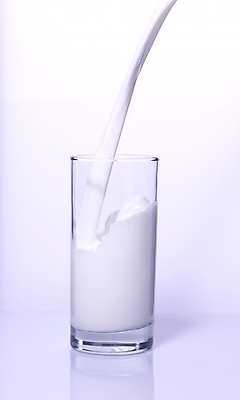 포토 JPG 음료 잔 유제품 실내 사람없음 우유 붓기 흰우유 국내포토 식기 모션 내부 파일형식