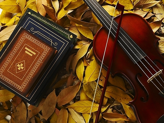 포토 JPG 식물 사계절 계절 문화 예술 악기 음악 낙엽 잎 자연 현악기 나뭇잎 사람없음 책 가을 바이올린 오브젝트 국내포토 문화예술 생태계 파일형식