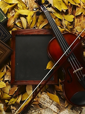포토 JPG 식물 사계절 계절 문화 예술 악기 음악 낙엽 잎 자연 현악기 나뭇잎 사람없음 칠판 가을 바이올린 국내포토 문화예술 생태계 파일형식
