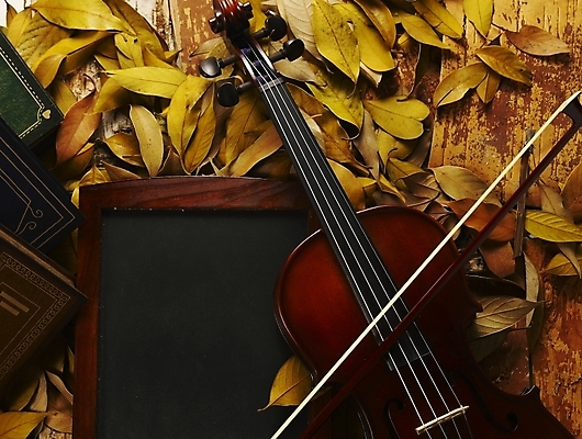 포토 JPG 식물 사계절 계절 문화 예술 악기 음악 낙엽 잎 자연 현악기 나뭇잎 사람없음 칠판 가을 바이올린 국내포토 문화예술 생태계 파일형식