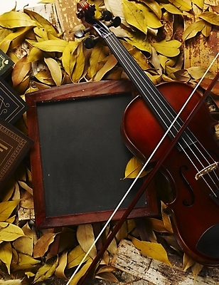 포토 JPG 식물 사계절 계절 문화 예술 악기 음악 낙엽 잎 자연 현악기 나뭇잎 사람없음 칠판 가을 바이올린 국내포토 문화예술 생태계 파일형식
