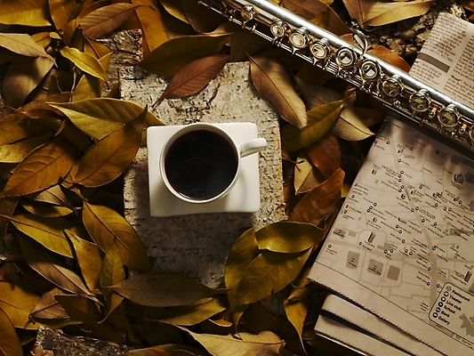 포토 JPG 식물 사계절 계절 문화 커피 예술 악기 음악 낙엽 잎 자연 나뭇잎 관악기 사람없음 가을 신문 커피잔 찻잔 플루트 국내포토 음료 문화예술 잔 간행물 뉴스 생태계 파일형식