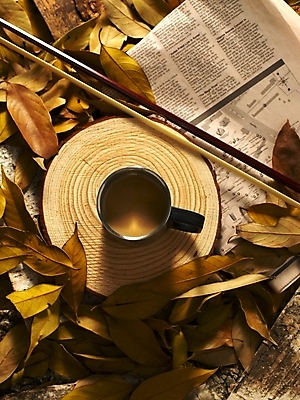 포토 JPG 식물 사계절 계절 문화 커피 예술 악기 음악 낙엽 잎 자연 나뭇잎 사람없음 가을 신문 커피잔 찻잔 국내포토 음료 문화예술 잔 간행물 뉴스 생태계 파일형식