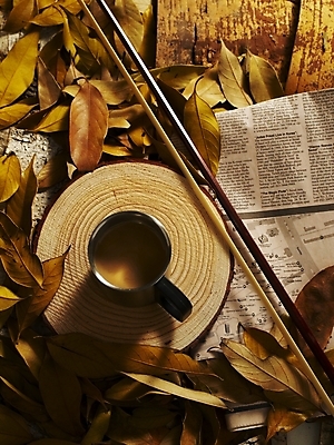 포토 JPG 식물 사계절 계절 문화 커피 예술 악기 낙엽 잎 자연 나뭇잎 사람없음 가을 신문 커피잔 찻잔 악보 국내포토 음료 음악 잔 간행물 뉴스 생태계 파일형식