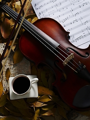 포토 JPG 식물 사계절 계절 문화 커피 예술 악기 음악 낙엽 잎 자연 현악기 나뭇잎 사람없음 가을 커피잔 찻잔 바이올린 악보 국내포토 음료 문화예술 잔 생태계 파일형식