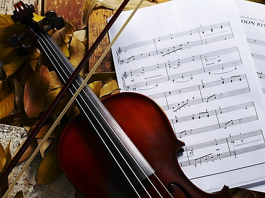 포토 JPG 식물 사계절 계절 문화 예술 악기 음악 낙엽 잎 자연 현악기 나뭇잎 사람없음 가을 바이올린 악보 국내포토 문화예술 생태계 파일형식