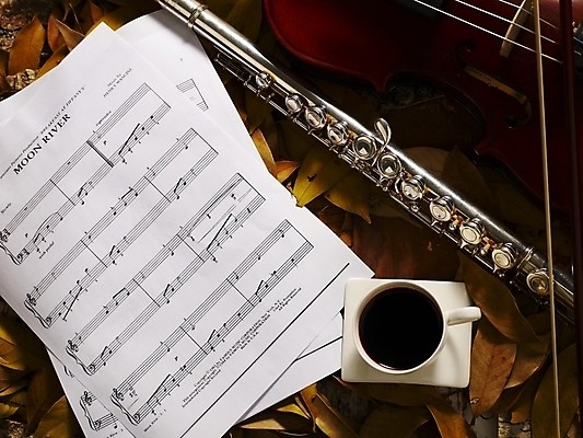 포토 JPG 식물 사계절 계절 문화 커피 예술 악기 음악 낙엽 잎 자연 나뭇잎 관악기 사람없음 가을 커피잔 찻잔 플루트 악보 국내포토 음료 문화예술 잔 생태계 파일형식