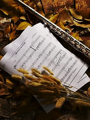 포토 JPG 식물 사계절 계절 문화 예술 악기 음악 낙엽 잎 자연 나뭇잎 관악기 사람없음 가을 플루트 악보 부들 국내포토 문화예술 생태계 파일형식