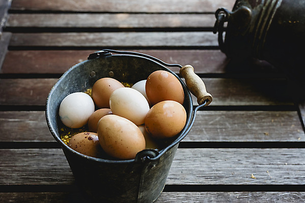 포토 JPG 해외이미지 음식 건강 사람없음 갈색 계란 신선 상품 양동이 유기농 날것 내추럴 해외202004 해외포토 웰빙 컬러 알 파일형식