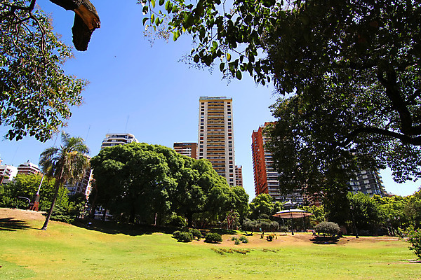 포토 JPG 해외이미지 나무 식물 공원 건축양식 자연 하늘 사람없음 건물 초록색 파란색 침묵 도시 남아메리카 오솔길 광장 아르헨티나 방법 부에노스아이레스 해외202004 해외포토 건축물 공공시설 건축 길 컬러 아메리카 소리 생태계 파일형식