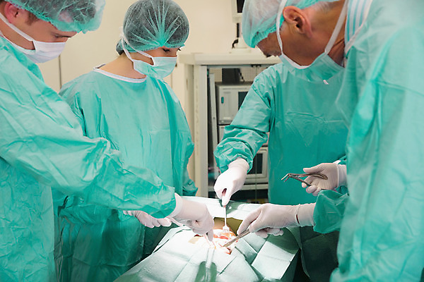 포토 JPG 해외이미지 백인 학생 여자 교육 남자 실내 병원 실험 세명 학습 교수 의사 잡기 수술 연습 대학교 70대 외과 인턴 의료성형뷰티 성인만 해외202004 해외포토 서양인 노년 비즈니스 의학 학교 모션 사람 내부 치료 교사 의료진 파일형식