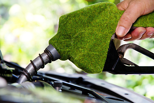 포토 JPG 해외이미지 무료이미지 손 컨셉 근접촬영 아웃포커스 에너지 잡기 소프트포커스 에코 친환경 연료 친환경자동차 해외202004 주유건 해외포토 뷰포인트 모션 자동차 촬영기법 신체부위 환경 주유 파일형식 무료콘텐츠