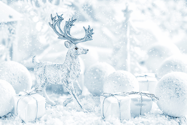 포토 JPG 해외이미지 계절 백그라운드 크리스마스 겨울 공 사슴 새로움 기념 매달리기 사람없음 장식 빛 반짝임 축제 장식볼 흰색 눈송이 우아함 은색 12월 해외202004 해외포토 기념일 컬러 컨셉 포유류 모션 눈_날씨 날짜 파일형식