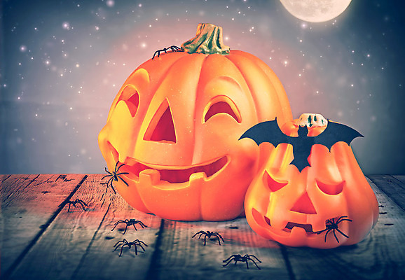 포토 JPG 해외이미지 전통 디자인 계절 컨셉 호박 기념 미술 풍경 이벤트 사람없음 야외 장식 빛 파티 어둠 할로윈 보름달 달 가을 축하 야간 신비 무서움 거미 박쥐 10월 호러 해외202004 해외포토 자연요소 감정 곤충 채소 포유류 문화예술 날짜 공포 파일형식