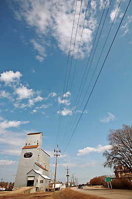 포토 JPG 해외이미지 식물 구름 산업 캐나다 밭 농업 자연 하늘 풍경 사람없음 농장 농경지 가을 밀 밭일 해외202004 해외포토 자연요소 계절 북아메리카 곡류 생태계 파일형식