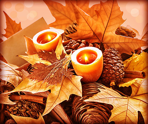 포토 JPG 해외이미지 식물 전통 디자인 계절 행복 백그라운드 단풍 잎 오렌지 촛불 자연 휴가 기념 건조 사람없음 장식 빛 갈색 노란색 파티 축제 가을 축하 인사 신용카드 황금 닫기 엽서 초대 나무껍질 솔방울 추수감사절 전나무 원뿔 광 정물화 스타일 해외202004 해외포토 도형 나무 감정 기독교 컬러 컨셉 과일 초 모션 이벤트 금융 껍질 예절 편지 그림 생태계 파일형식