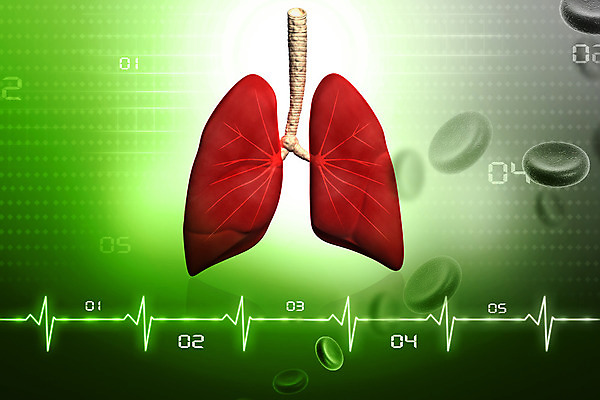 포토 JPG 해외이미지 교육 과학 백그라운드 일러스트 해부 상상 엑스레이 건강 사람 사람없음 초록색 3D 디지털 조직 오르간 허파 호흡기관 호흡 질감 만들기 궤 심전도 효과 해외202004 해외포토 컬러 의학 모션 장기_의학 건반악기 디지털합성 파일형식