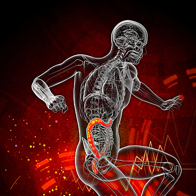 포토 JPG 해외이미지 해부 건강 사람 사람없음 고통 오르간 신장 간 방광 췌장 지라 복부 해외202004 해외포토 감정 의학 신체부위 장기_의학 건반악기 비뇨기관 파일형식