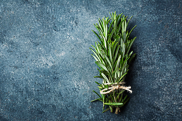 포토 JPG 해외이미지 식물 음식 백그라운드 잎 재료 자연 건강 사람없음 초록색 약 나뭇가지 신선 다발 허브 향신료 싱글 유기농 날것 향기 아로마 향 로즈메리 내추럴 카피스페이스 해외202004 해외포토 나무 웰빙 컬러 의학 공백 생태계 냄새 향미료 파일형식