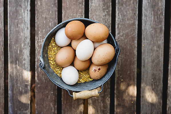 포토 JPG 해외이미지 음식 건강 사람없음 갈색 계란 신선 상품 양동이 유기농 날것 내추럴 해외202004 해외포토 웰빙 컬러 알 파일형식