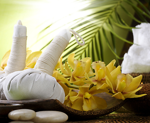 포토 JPG 해외이미지 꽃 잎 사람없음 쌓기 스파 흰색 마사지 난초 피부관리 아로마 아로마테라피 테라피 해외202004 해외포토 식물 컬러 모션 뷰티 파일형식