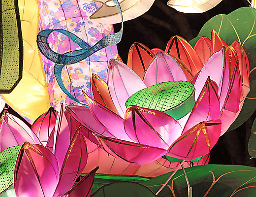 포토 JPG 해외이미지 식물 전통 꽃 종이 연꽃 사람없음 장식 빨간색 초록색 파란색 빛 컬러풀 바구니 보라색 축제 중국 벚꽃 달 등불 직물 다발 대만 대나무 수공예 해외202004 해외포토 자연요소 나무 아시아 컬러 조명 공예 파일형식