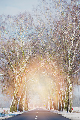 포토 JPG 해외이미지 나무 계절 도로 길 여행 크리스마스 겨울 패턴 교통시설 자연 하늘 날씨 산 거리 풍경 사람없음 야외 파란색 빛 냉동 얼음 운전 차도 추위 자유 안개 흰색 시골 고속도로 숲 아스팔트 12월 서리 장면 북쪽 벌거벗은 줄서기 눈내림 수평선 겨울풍경 해외202004 무례 해외포토 자연요소 식물 기념일 컬러 교통 컨셉 무늬 모션 눈_날씨 날짜 방향 시설 생태계 파일형식