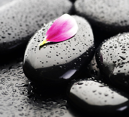 포토 JPG 해외이미지 꽃잎 꽃 백그라운드 컨셉 사람없음 물 쌓기 검은색 스파 젖음 조약돌 물방울 해외202004 해외포토 자연요소 식물 컬러 모션 돌_바위 파일형식